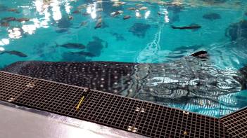 IMG_20180708_194629055